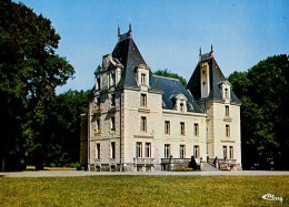 CHEMERE-chateau De Noirbreuil - Other & Unclassified