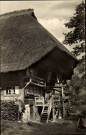 CPA Bauernhaus Im Schwarzwald - Trachten