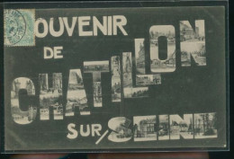 CHATILLON SUR SEINE SOUVENRI                                               ( MES PHOTOS NE SONT PAS JAUNES ) - Chatillon Sur Seine