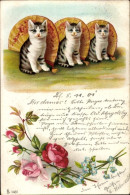 Lithographie Drei Kleine Katzen, Fächer, Rosen - Andere & Zonder Classificatie
