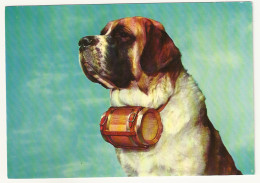 CPSM- Exemplaire De St Bernard. Val D'Aoste - Dogs