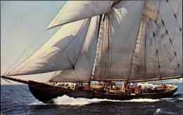 CPA Halifax Nova Scotia Kanada, Segelschiff Bluenose II, Oland & Son Ltd. - Andere & Zonder Classificatie