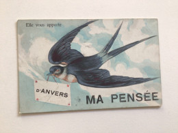 Carte Postale Ancienne Elle Vous Apporte D’Anvers Ma Pensée - Antwerpen