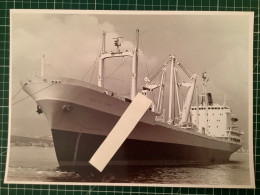 La Ciotat Le Cargo Ville De Genes. Format 18x24 - Schiffe