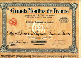 GRANDS MOULINS De FRANCE - Industrie
