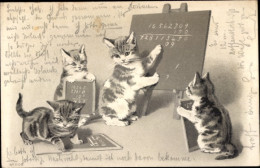 Lithographie Vermenschlichte Katzen Mit Schultafeln - Andere & Zonder Classificatie
