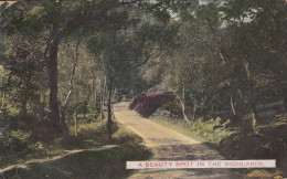 H83  .National Postcard.   Beauty Spot In The Highlands. - Sonstige & Ohne Zuordnung