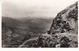 H24. Vintage Postcard. The Precipice Walk. Dolgelley. - Merionethshire