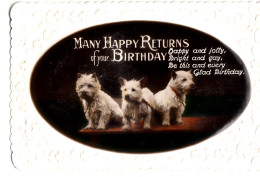 H88. Vintage Embossed Greetings Postcard. Highland Terrier. Dogs - Chiens