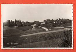 IKE-12x  Vue De Echandens District De Morges Vignoble Circulé Vers 1943 Selon Annotation Perrochet 7037 - Morges