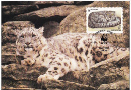 1994 - Kyrgyzstan Кыргызстан - Snow Leopard - Panthère Des Neiges WWF - Kirguistán