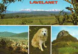 Lavelanet - Multivues - Lavelanet