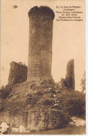 DORDOGNE - La Tour De PIEGUT - Vieux Donjon Cylindrique Du XIIIe Siècle - N° 21 - Autres & Non Classés