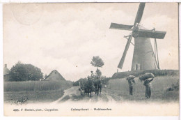 Pk. Calmpthout - Heidemolen 1913 - Kalmthout