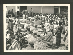 Angola Portugal Carte Diamang Compagnie Diamants Marché Fruits Agriculture Fruits Market 1966 Card - Angola