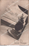 Cm698 Cartolina  Augurale Buona Pasqua - Autres & Non Classés