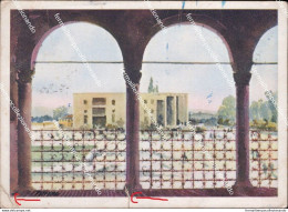 Cm673 Cartolina Tirana Banca Nazionale  Albania - Other & Unclassified