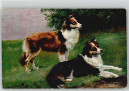 10012211 - Tiere-Hunde-sonstige Collie  Kuenstler Sign - Chiens