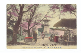 JA/59..JAPAN Ansichtskarten - Kirschblüten-Noge-Hügel, Yokohama,  Sakuranoyamakeno Katsuhiro 1910 - Yokohama