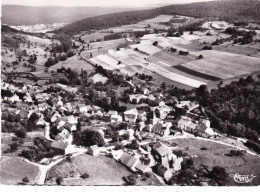 21 - Cote  D Or - REMILLY En MONTAGNE - Vue Aerienne   - Other & Unclassified