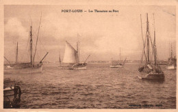 (RECTO / VERSO) PORT LOUIS - LES THONNIERS AU PORT - CPA NON VOYAGEE - Port Louis