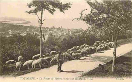 14 - Houlgate - La Route De Villers Et Vue Sur Houlgate - Animée - Moutons - CPA - Voir Scans Recto-Verso - Houlgate