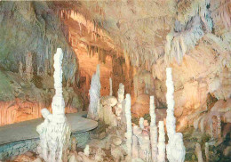Liban - Grotte De Jiita - Jilta Grotto Upper Gallery - Petrified Forest - Spéléologie - Lebanon - CPM - Voir Scans Recto - Líbano