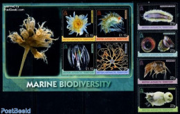 British Antarctica 2010 Marine Bio Diversity 8v (4v+m/s), Mint NH, Nature - Shells & Crustaceans - Vie Marine
