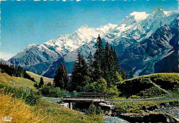 74 - Chamonix - Mont-Blanc - Panorama Sur Le Mont-Blanc - CPM - Voir Scans Recto-Verso - Chamonix-Mont-Blanc
