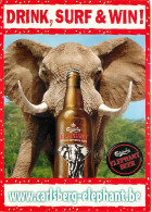 Animaux - Eléphants - Carte Publicitaire Carlsberg Elephant Beer - CPM - Voir Scans Recto-Verso - Éléphants