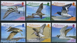 Alderney 2009 Resident Birds 6v, Mint NH, Nature - Various - Birds - Lighthouses & Safety At Sea - Phares