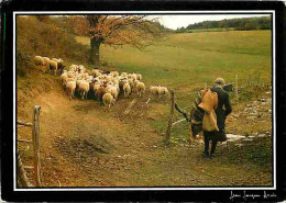 Animaux - Moutons - CPM - Voir Scans Recto-Verso - Other & Unclassified
