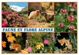Animaux - Faune Et Flore Des Alpes - Marmotte - Renard - Ecureuil - Multivues - CPM - Voir Scans Recto-Verso - Andere & Zonder Classificatie