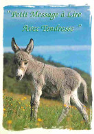 Animaux - Anes - Anon - CPM - Voir Scans Recto-Verso - Asino