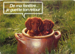 Chiens - CPM - Voir Scans Recto-Verso - Dogs