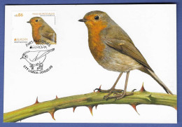 Portugal   2019 , EUROPA CEPT Birds / Aves Nacionais Pisco-de-Peite-Ruivo - Maximum Card - Ctt Lisboa 2019.05.09 - 2019
