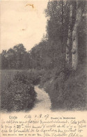 Belgique - UCCLE (Brux.-Cap.) Chemin De Boetendael - Ed. Nels Série 11 N. 487 - Ukkel - Uccle