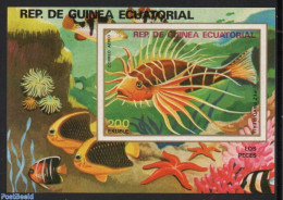 Equatorial Guinea 1979 Fish S/s, Imperforated, Mint NH, Nature - Fish - Fishes