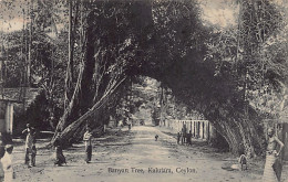 Sri Lanka - KALUTARA - Banyan Tree - Publ. Plâté Ltd. 51 - Sri Lanka (Ceilán)