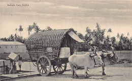 Sri-Lanka - Bullock Cart - Publ. John & Co.  - Sri Lanka (Ceylon)