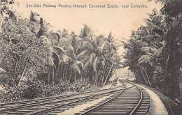 Sri Lanka - Sea-Side Railway Passing Trough Cocoanut Estate, Near Colombo - Publ. Plâté & Co.  - Sri Lanka (Ceilán)
