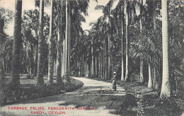 Sri Lanka - KANDY - Cabbage Palms, Peredeniya Gardens - Publ. Plâté & Co.  - Sri Lanka (Ceilán)