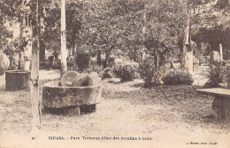 Algérie - TIPASA Tipaza - Parc Trémaux - Allée Des Moulins à Huile - Ed. J. Geiser 16 - Other & Unclassified