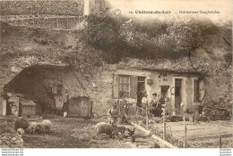72 CHATEAU DU LOIR HABITATIONS TROGLODYTES - Chateau Du Loir