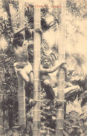 Sri Lanka - Tree Climbers - Publ. Plâté & Co. 86 - Sri Lanka (Ceylon)