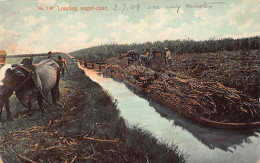 Malaysia - Loading Sugar Cane - Publ. A. Kaulfuss 140 - Maleisië