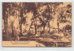 Viet-Nam - Environs De Saïgon - Plantation De Cocotiers - Ed. Paulussen 66 - Vietnam