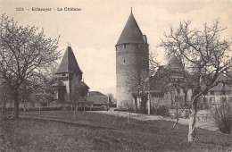 Estavayer (FR) Le Château Phototypie Co., Neuchâtel - Estavayer