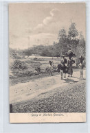 Grenada - Going To Market - SEE SCANS FOR CONDITION - Publ. Unknown  - Grenada