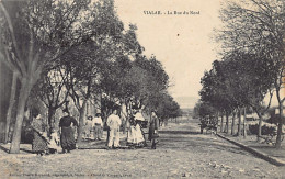Algérie - VIALAR Tissemsilt - La Rue Du Nord - Ed. Pierre Reynoud  - Other & Unclassified